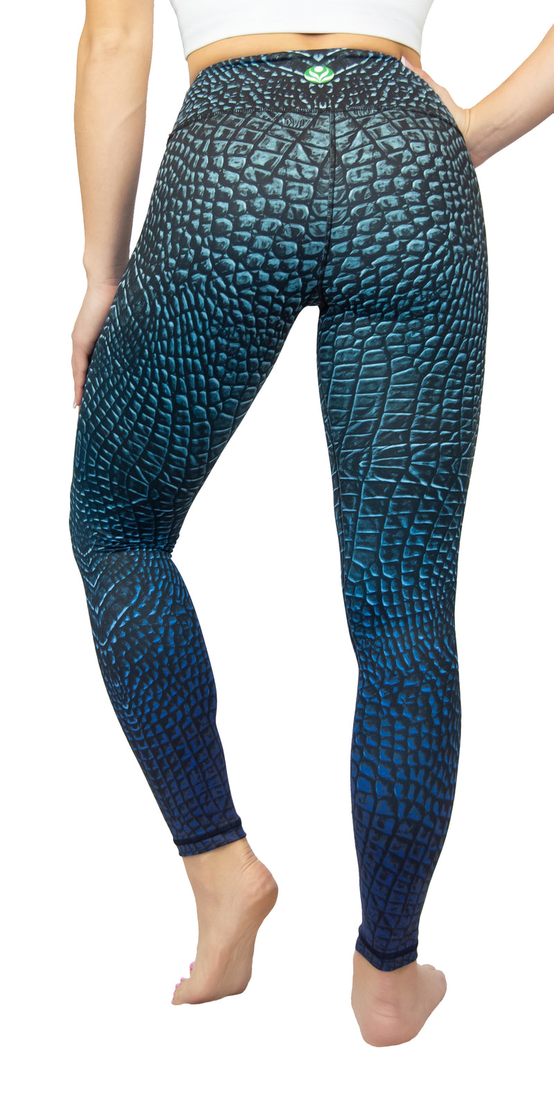 Absynth - Legging