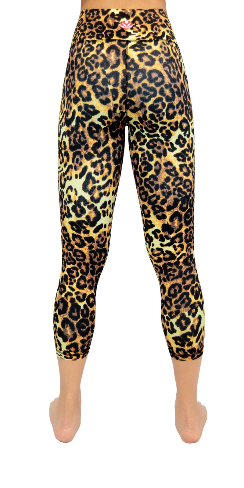 Fit & Fierce - Legging